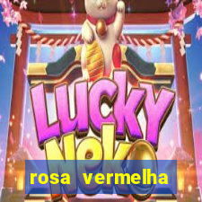 rosa vermelha (letra e cifra)